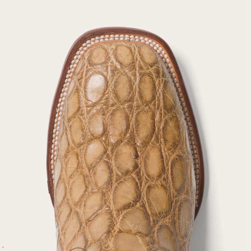 Brown Stetson Flaxville Honey Alligator Vamp 13