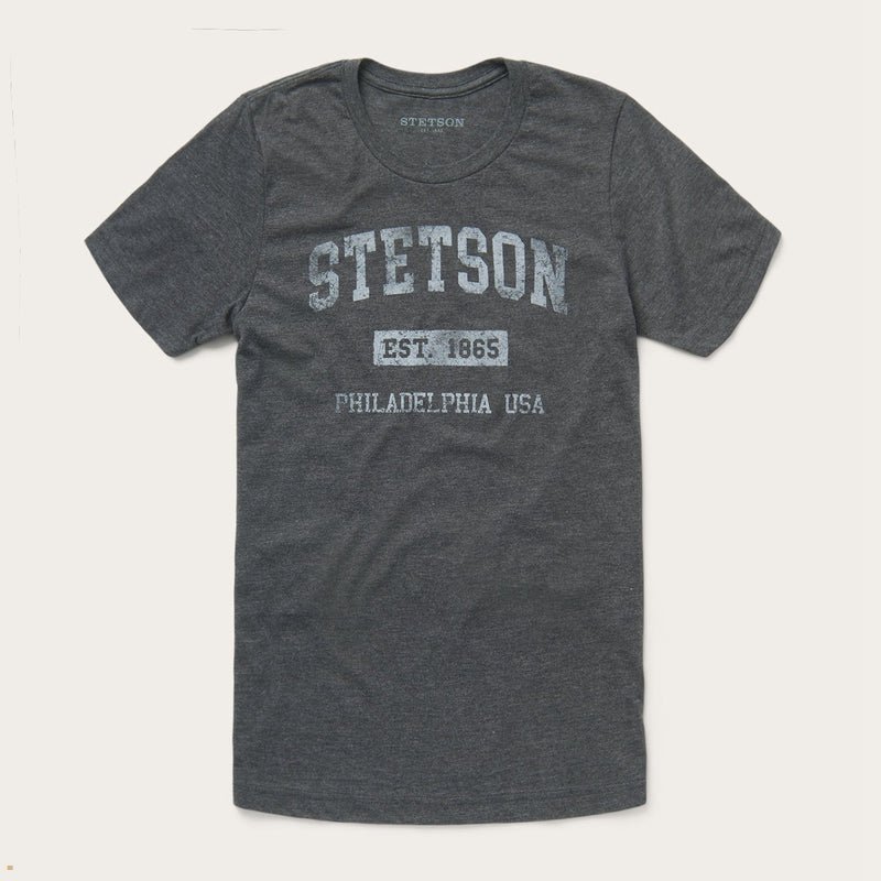 Grey Stetson 1865 Graphic Men\'s T-Shirts | UK 14EXWFIZU