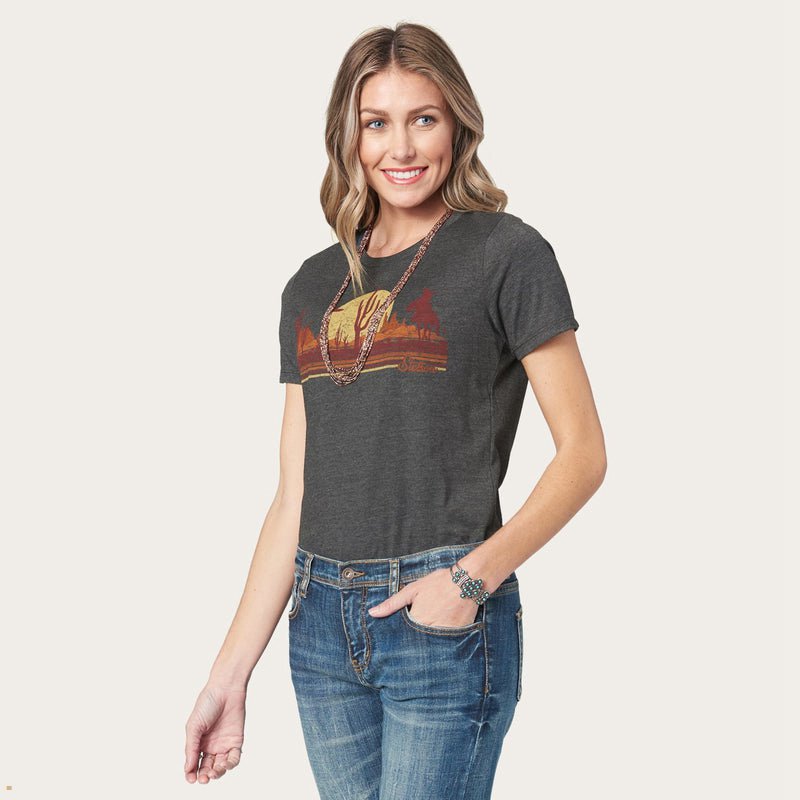 Grey Stetson Riding Into The Sunset Graphic Women's T-Shirts | UK 38GXSDUHW