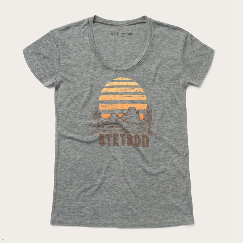 Grey Stetson Sunset Graphic Women's T-Shirts | UK 15WSYGONH